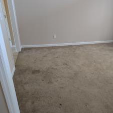 Carpet Cleaning Heavy Soil in Harvest, AL